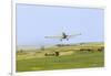 Crop Duster Airplane Spraying Farm Field Near Mott, North Dakota, USA-Chuck Haney-Framed Photographic Print