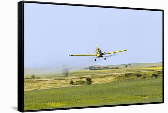 Crop Duster Airplane Spraying Farm Field Near Mott, North Dakota, USA-Chuck Haney-Framed Stretched Canvas