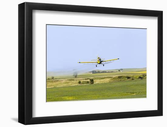 Crop Duster Airplane Spraying Farm Field Near Mott, North Dakota, USA-Chuck Haney-Framed Photographic Print