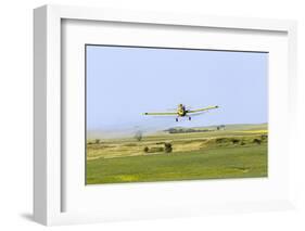 Crop Duster Airplane Spraying Farm Field Near Mott, North Dakota, USA-Chuck Haney-Framed Photographic Print