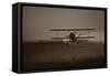 Crop Duster II-null-Framed Stretched Canvas