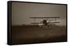 Crop Duster II-null-Framed Stretched Canvas