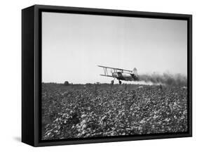 Crop Dusting Plane Flies over Field-null-Framed Stretched Canvas