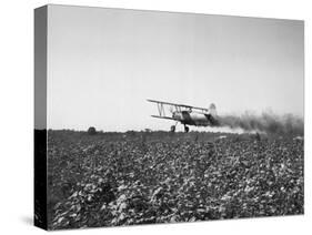 Crop Dusting Plane Flies over Field-null-Stretched Canvas
