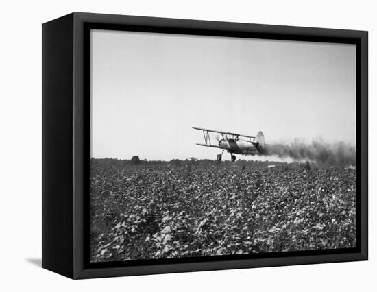 Crop Dusting Plane Flies over Field-null-Framed Stretched Canvas