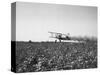 Crop Dusting Plane Flies over Field-null-Stretched Canvas