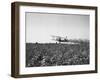 Crop Dusting Plane Flies over Field-null-Framed Photographic Print