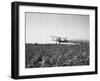 Crop Dusting Plane Flies over Field-null-Framed Photographic Print