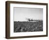 Crop Dusting Plane Flies over Field-null-Framed Photographic Print