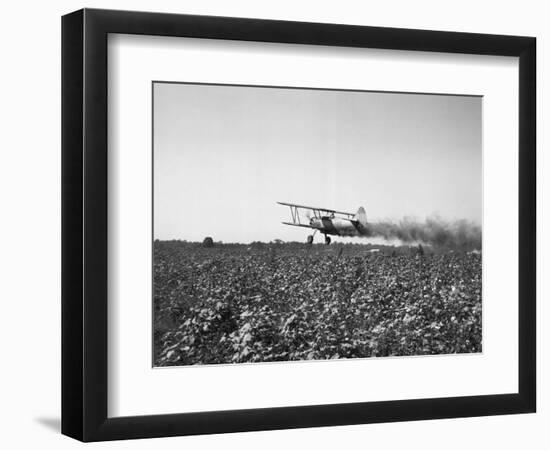 Crop Dusting Plane Flies over Field-null-Framed Photographic Print