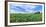 Crop in field with old style barn in the background, Stelle, Ford County, Illinois, USA-Panoramic Images-Framed Photographic Print