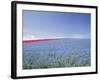 Crop of Flax on Hillside in Rows, Willamette Valley, Oregon, USA-Terry Eggers-Framed Photographic Print