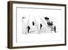 Crop Rotation: Sowing and Harrowing Corn, 1855-null-Framed Giclee Print