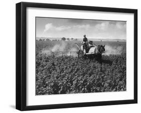 Crop-Spraying Potatoes-null-Framed Photographic Print