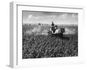 Crop-Spraying Potatoes-null-Framed Photographic Print