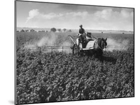 Crop-Spraying Potatoes-null-Mounted Photographic Print