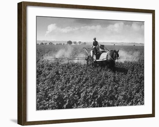 Crop-Spraying Potatoes-null-Framed Photographic Print