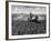 Crop-Spraying Potatoes-null-Framed Photographic Print