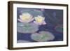 Crop Water Lilies-null-Framed Giclee Print