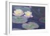 Crop Water Lilies-null-Framed Giclee Print