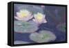 Crop Water Lilies-null-Framed Stretched Canvas