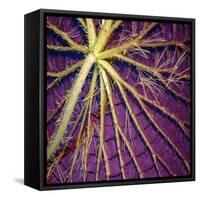 Cropped Garden Leaves IV-Laura DeNardo-Framed Stretched Canvas