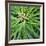 Cropped Garden Leaves V-Laura DeNardo-Framed Photographic Print