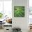 Cropped Garden Leaves V-Laura DeNardo-Framed Stretched Canvas displayed on a wall