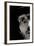 Cropped Portrait of a Man with Hat Starring into the Camera-Torsten Richter-Framed Photographic Print