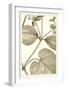 Cropped Sepia Botanical V-Vision Studio-Framed Art Print