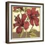 Cropped Sophisticated Hibiscus II-Jennifer Goldberger-Framed Art Print