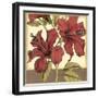 Cropped Sophisticated Hibiscus II-Jennifer Goldberger-Framed Art Print