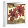 Cropped Sophisticated Hibiscus II-Jennifer Goldberger-Framed Art Print
