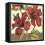 Cropped Sophisticated Hibiscus II-Jennifer Goldberger-Framed Stretched Canvas