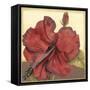 Cropped Sophisticated Hibiscus III-Jennifer Goldberger-Framed Stretched Canvas