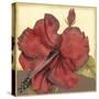 Cropped Sophisticated Hibiscus III-Jennifer Goldberger-Stretched Canvas