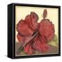 Cropped Sophisticated Hibiscus III-Jennifer Goldberger-Framed Stretched Canvas