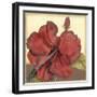 Cropped Sophisticated Hibiscus III-Jennifer Goldberger-Framed Art Print