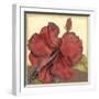 Cropped Sophisticated Hibiscus III-Jennifer Goldberger-Framed Art Print