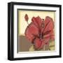 Cropped Sophisticated Hibiscus IV-Jennifer Goldberger-Framed Art Print
