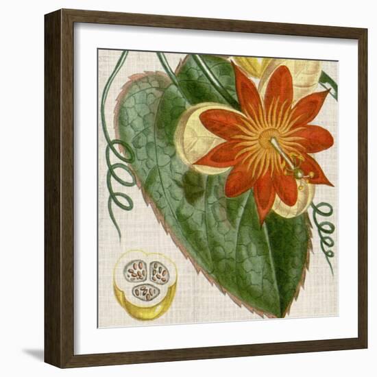 Cropped Turpin Tropicals I-Vision Studio-Framed Art Print