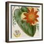 Cropped Turpin Tropicals I-Vision Studio-Framed Art Print