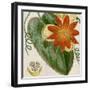 Cropped Turpin Tropicals I-Vision Studio-Framed Art Print