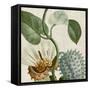 Cropped Turpin Tropicals II-Vision Studio-Framed Stretched Canvas