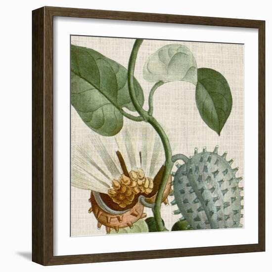 Cropped Turpin Tropicals II-Vision Studio-Framed Art Print