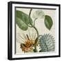 Cropped Turpin Tropicals II-Vision Studio-Framed Art Print