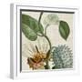 Cropped Turpin Tropicals II-Vision Studio-Framed Art Print