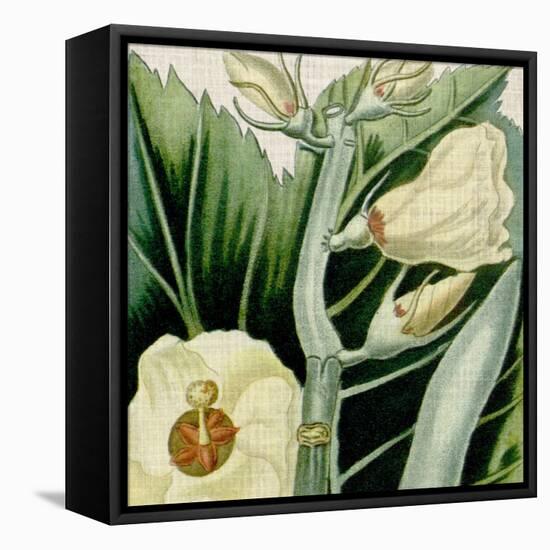 Cropped Turpin Tropicals III-Vision Studio-Framed Stretched Canvas