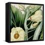 Cropped Turpin Tropicals III-Vision Studio-Framed Stretched Canvas