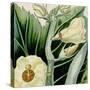 Cropped Turpin Tropicals III-Vision Studio-Stretched Canvas